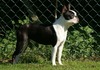 Kizzybas Tiny Tearaway To Mumuland (Mabel)