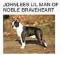 Ch Johnlees Lil Man Of  Noble Braveheart (USA IMP) (Manny)